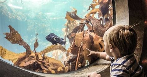 Why Traveling With Your Children Is Important | InspiringTravellers.com