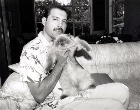 z21023676IH,25-lat-temu-zmarl-Freddie-Mercury- Queen Freddie Mercury ...