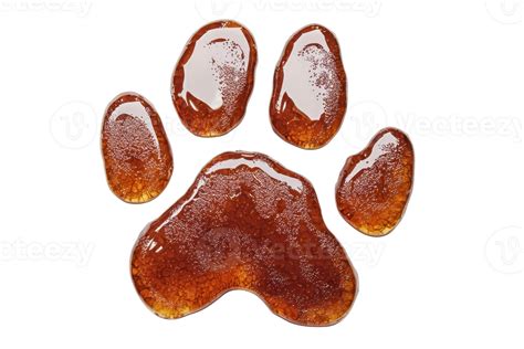 High-resolution image of a glossy animal paw print isolated on a ...