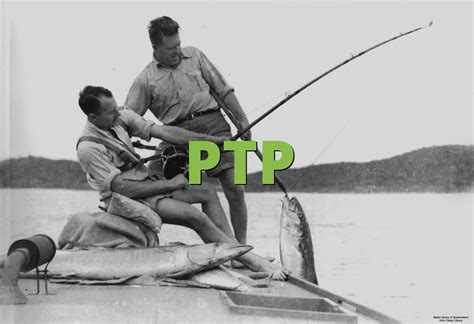ptp meaning slangorg