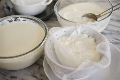homemade regular  greek yogurt chef rachida