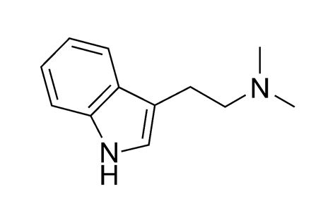 What is DMT? Learn why this powerful drug is unlike other psychedelics ...