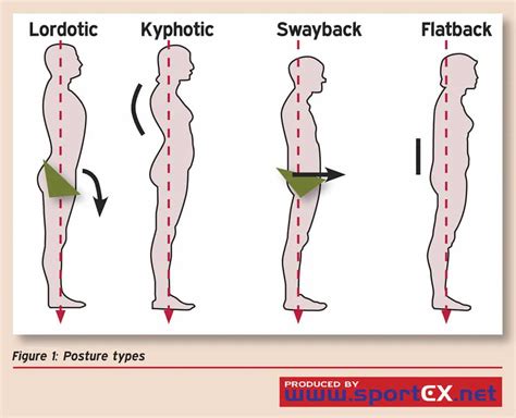 The Best Psoas Muscle Stretch - Do this once a day and you..