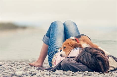 10 Things Your Dog Really Wants You To Know - iHeartDogs.com