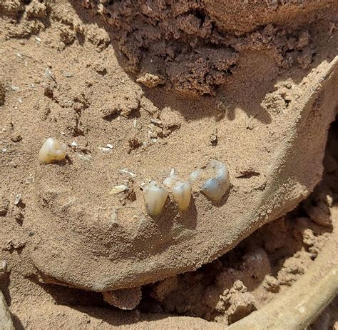Fourth set of human remains found in Lake Mead as water levels hit