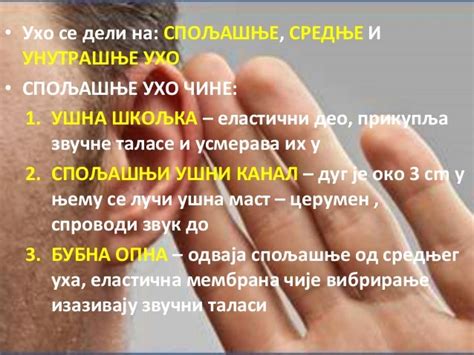 Чулни систем човека