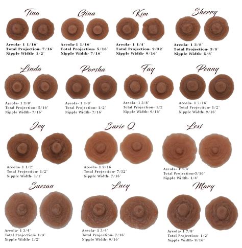 Types Of Female Breast Nipples at Mitchell Barclay-harvey blog