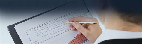 business evaluation  business operations review  spc consulting