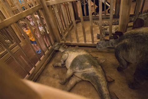 Life-Sized Noah's Ark Revealed to Public in Kentucky