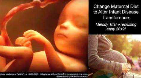 Healthy Pregnancy Diet. Melody Trial is now recruiting » BIOME ONBOARD ...