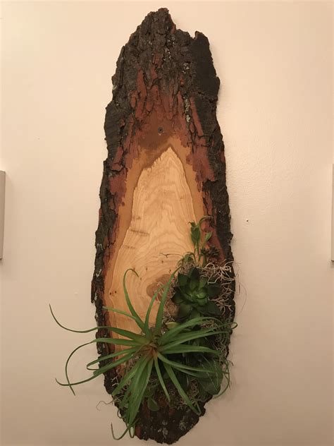 Diy tree slab coffee table – Artofit
