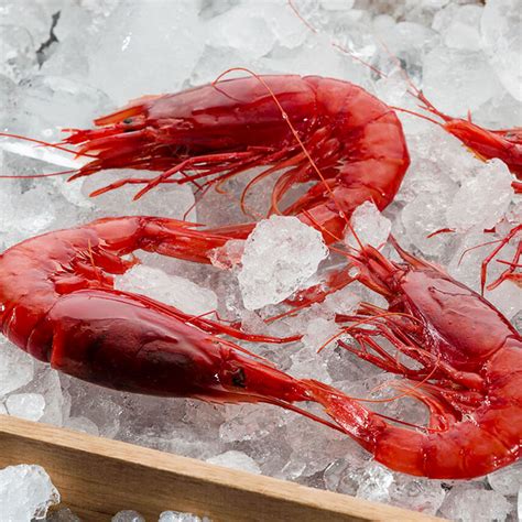 gambero rosso kg royale gourmet