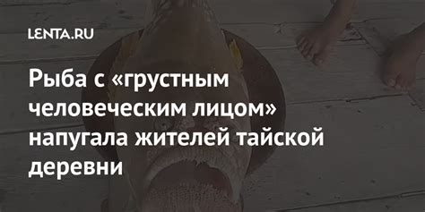 Рыба с «грустным человеческим лицом» напугала жителей тайской деревни ...