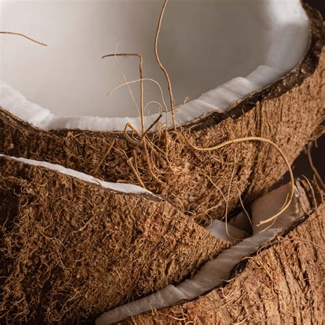 Coconut Sugar Home Fragrance Diffuser Oil | Powered by Pura