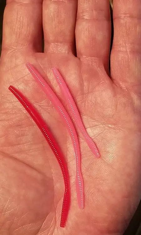 Salmon Fishing With Worms - Trout Steelhead And Salmon Experts