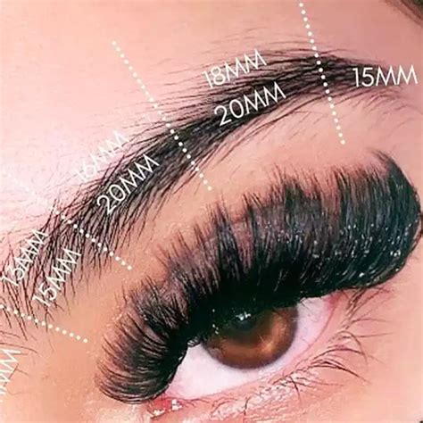 What Are Mega Volume Lash Extensions? Maximize Your Lash Fluff Now
