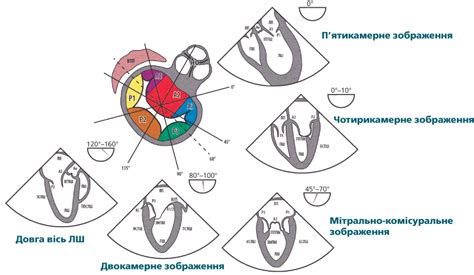 Журнал «Медицина світу» - Журнал для широкого кола лікарів
