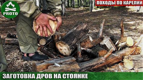 Заготовка дров на стоянке - YouTube