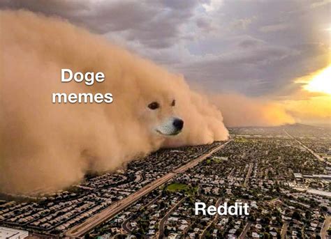 So many doge memes : r/memes