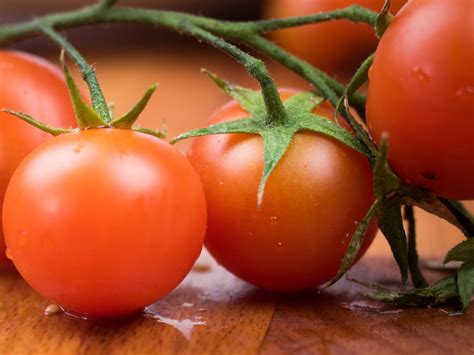 worlds  expensive tomato seeds cost rs  crore  kg
