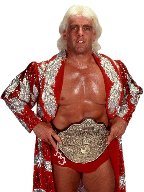 Ric Flair WCW World Heavyweight Champion by NuruddinAyobWWE on DeviantArt