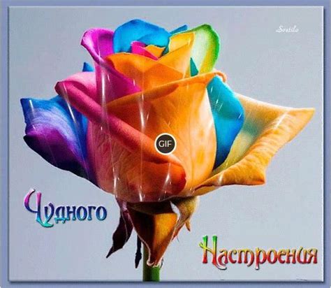 Гифка чудесного настроения | Giffs.ru
