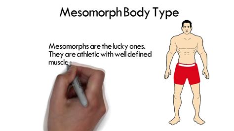Mesomorph Body Type - YouTube