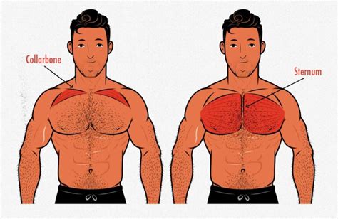 How to Build a Bigger Chest (Even If It's Lagging Behind)