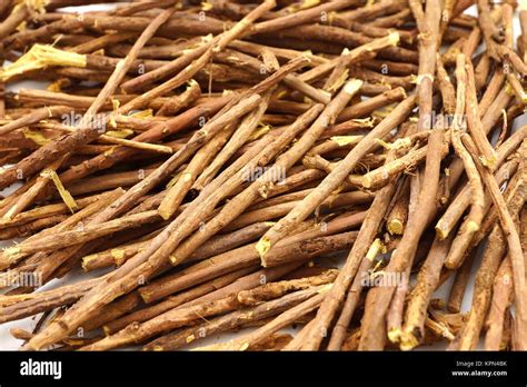 Licorice root tea hi-res stock photography and images - Alamy