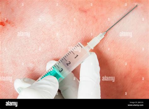 injection   needle stock photo alamy