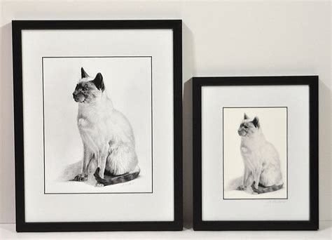 Siamese Cat Art Print Siamese Cat Pencil Drawing Print Cat - Etsy