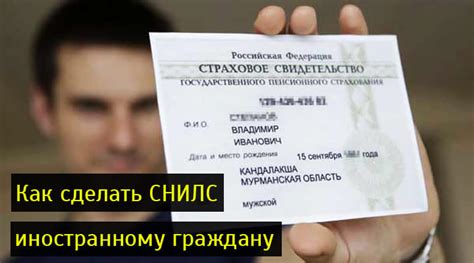 СНИЛС для иностранных граждан: как получить, стоимость