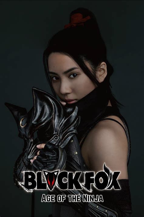 Black Fox: Age of the Ninja (2019) | The Poster Database (TPDb)