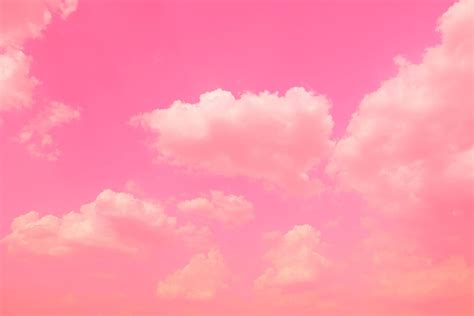 Aesthetic Pink Color Background