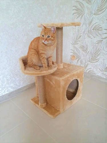 Купить Царапка с домиком для кота, когтеточка для двух кошек, стойка ...
