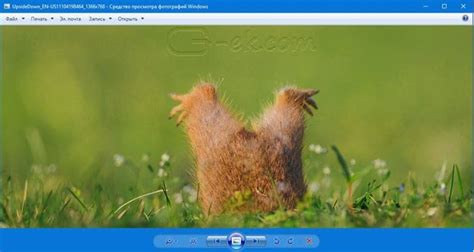 Как включить всем привычный Просмотр Фотографий в Windows 10. G-ek.com