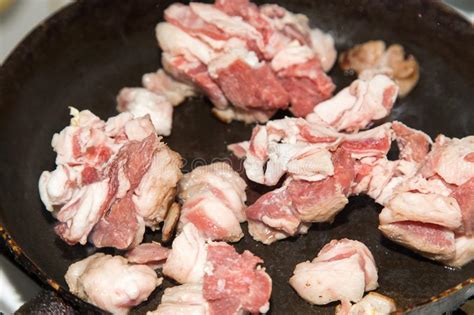 Roast lamb stock photo. Image of slice, meal, traditionally - 101025948