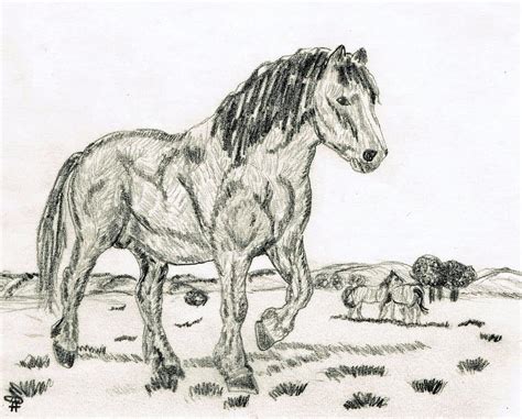 illustration, horse, animal, pencil, black and white, sketch | Pikist