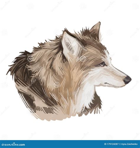 Hare Indian Dog Extinct Domesticated Canine Breed of Domestic Dog