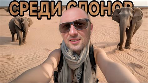 ЛЮДИ СДЕЛАЛИ СЛОНОВ ИНВАЛИДАМИ / ЗУБАРЕВ - YouTube