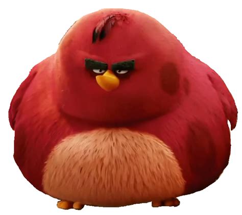 Angry Birds Terence Png