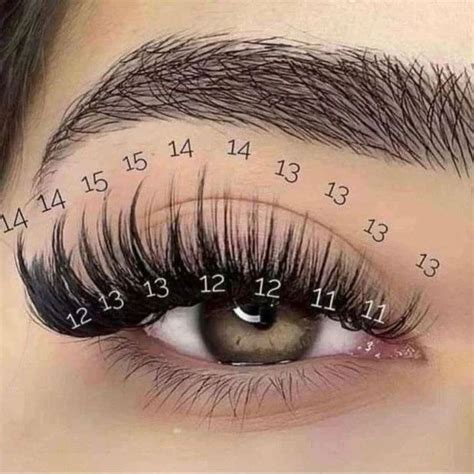 Wispy Cat Eye Map | Lash extensions | Lash Maps in 2023 | Perfect ...