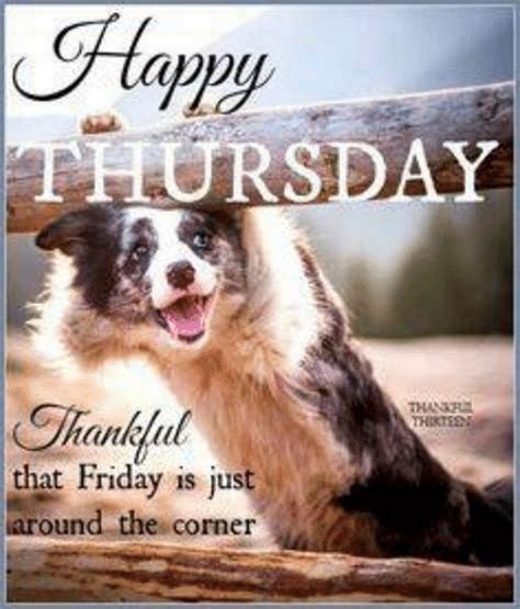 101 Funny Thursday Memes to Make You Happy All Day Long