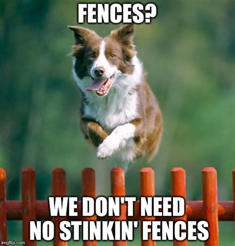 Dog Jumping Over Fence Meme - Meme Walls