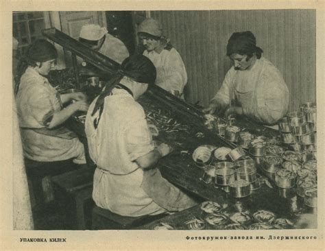 Упаковка килек: foto_history — LiveJournal