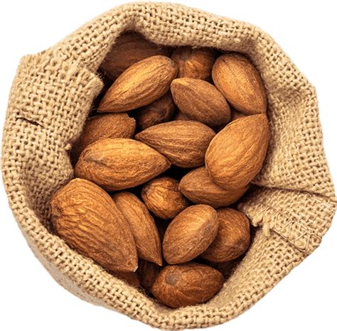 Almonds-Bag » NUT BUTTER MILL