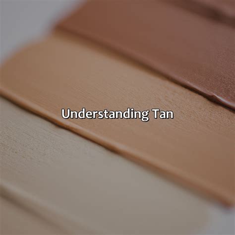color  tan colorscombocom