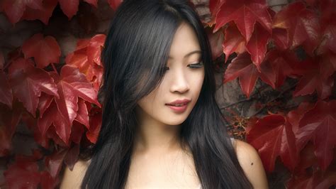4K, Asian, Brunette girl, Foliage, Hands, HD Wallpaper | Rare Gallery