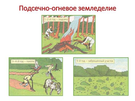 Восточные славяне в древности - презентация онлайн