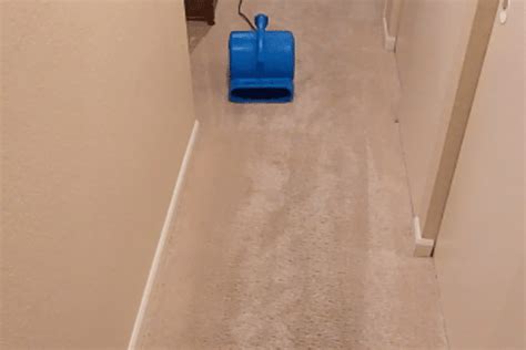 Effective Ways to Remove Moisture and Smell from Wet Carpets Forever